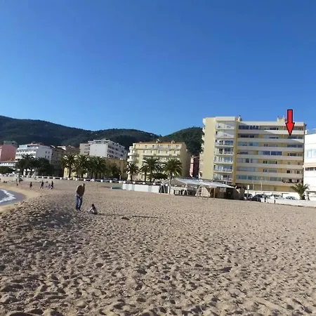 Apartamento Magnifique F3 Les Pieds Dans L'Eau. Ajaccio  Exterior foto